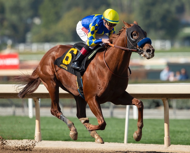 Charlatan Returns in G1 Malibu – BSW Bloodstock